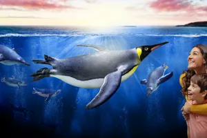 Coolcreatures Frontpagehero 1920X1080px SLS