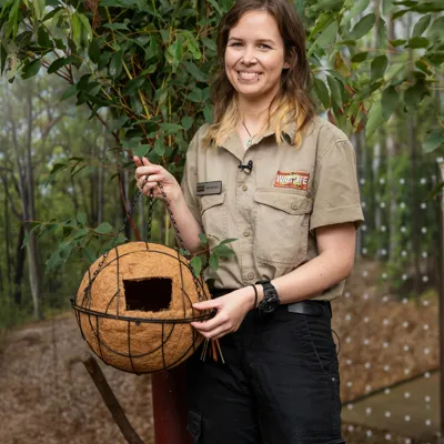 Keeper Melanie Brown With Completed Possum Drey WILD LIFE Sydney Zoo