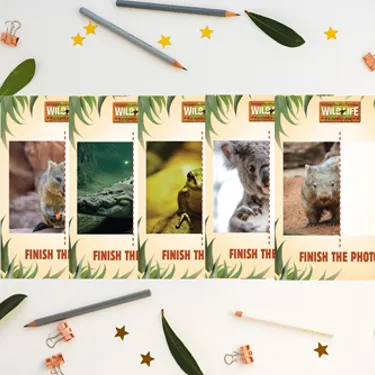 Finish The Photo Image