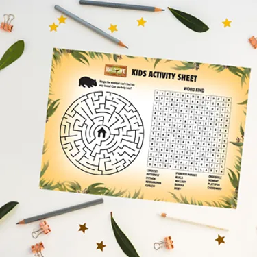 Maze Image