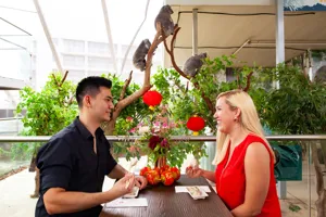 WLS Dumplings 5