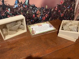 boxes with snake skin and labels