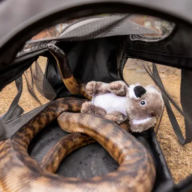 SNAKE RAW 4 (1)