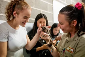 Wildlifesydneyzoobts Sugarglider2