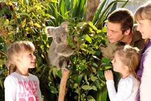 WLS Events Family Day