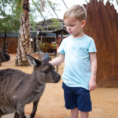 WLS Kangaroo And Child