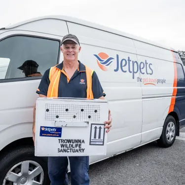 Dave Houlden, Jetpets Pet Handler With Quolls At Sydney Airport WILD LIFE Sydney Zoo