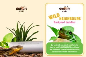 Wild Neighbours