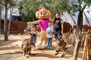 PAWPATROL WLSZ SL 72