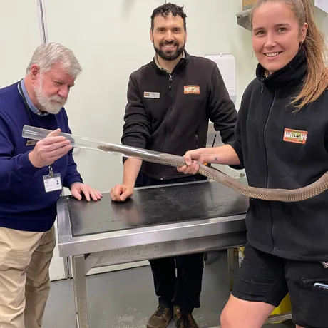 Dr Mike Cannon Examines Kevin (L To R Dr Mike Cannon, Dean Tsavaris And Renee Howell) Photo Credit Kiah Wilson (1)