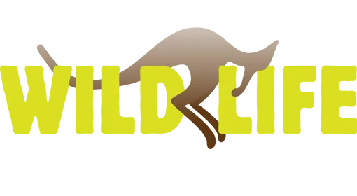 WLS Logo Full Col RGB